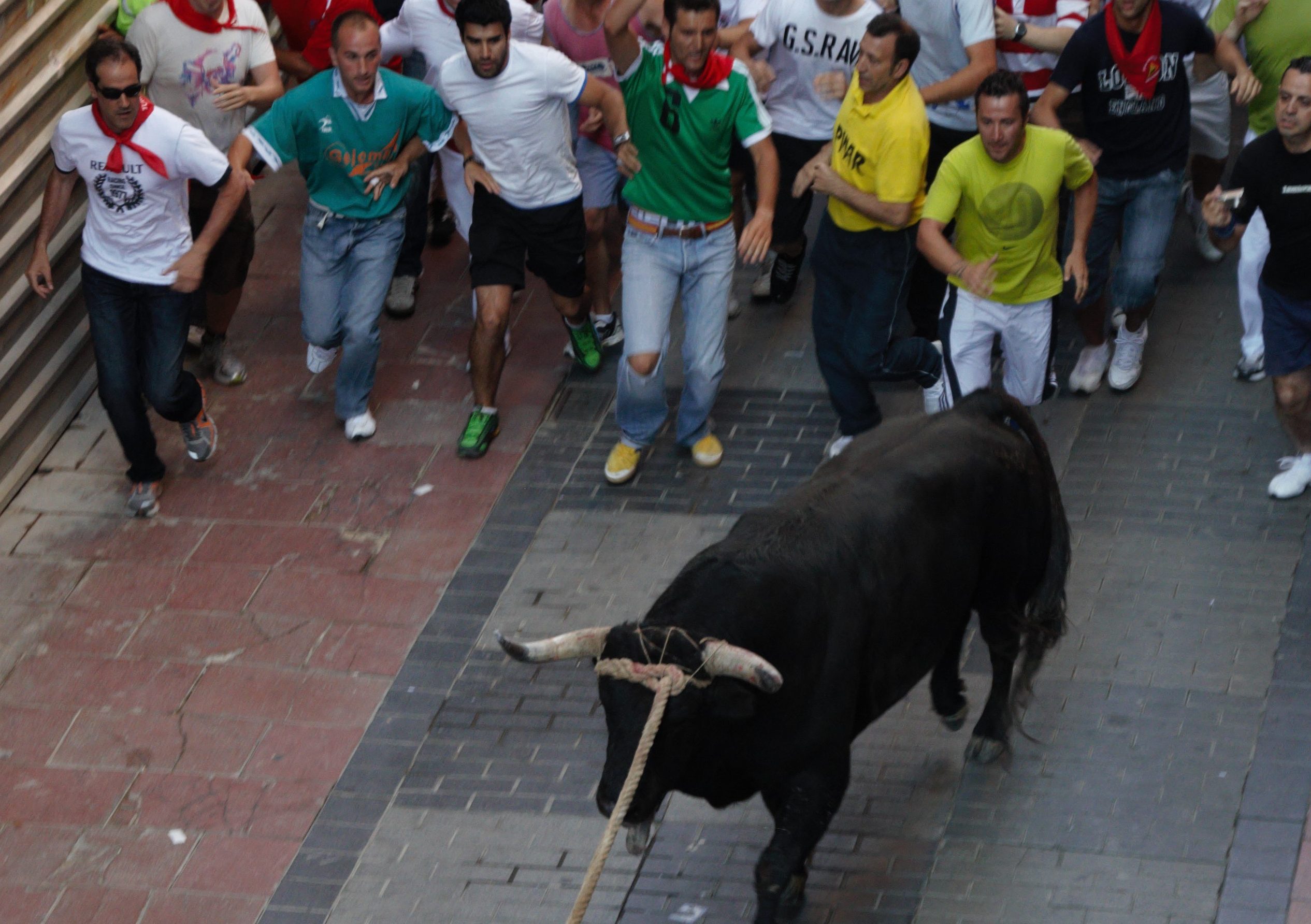 Resultado de imagen de toro enmaromado benavente 2017