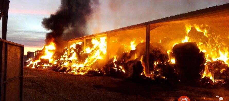 Incendio en una explotación ganadera en Quintanilla del Monte