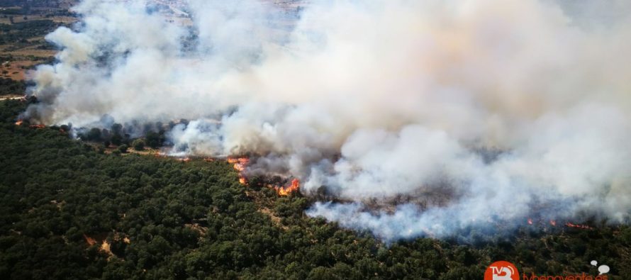 Un gran incendio forestal arrasa hectáreas en Vega de Tera