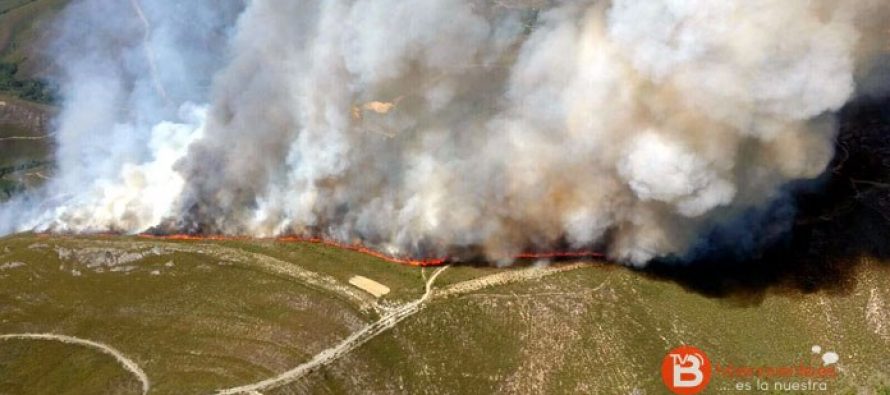 Un nuevo fuego afecta a la Alta Sanabria en el municipio de Hermisende