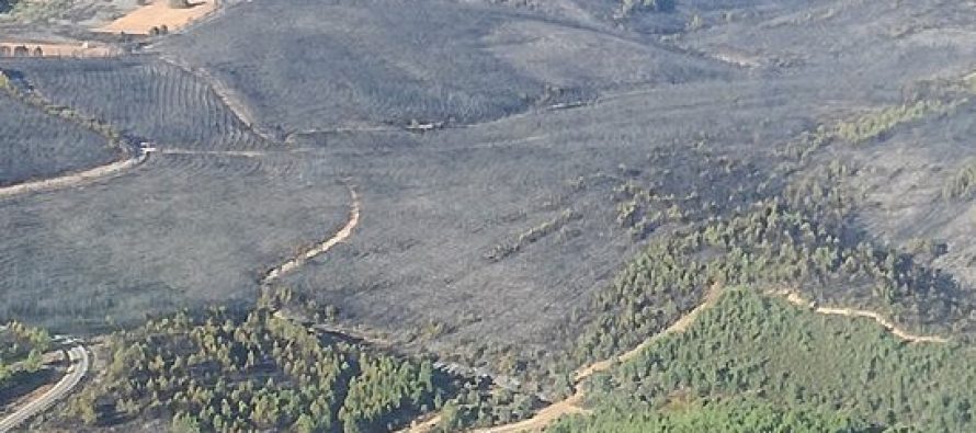 Rebajado a nivel 0 el incendio de San Martín del Pedroso