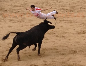Concurso de Cortes - Fiestas Toro Enmaromado 2012