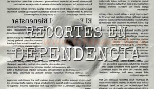 recortes en dependencia PSOE