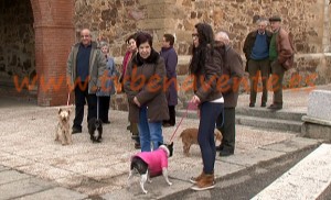 san anton 4