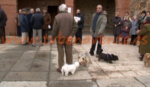 san anton 5