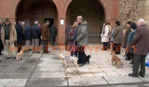 san anton 6