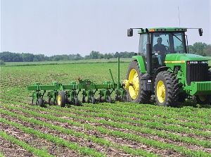 campo agricultura