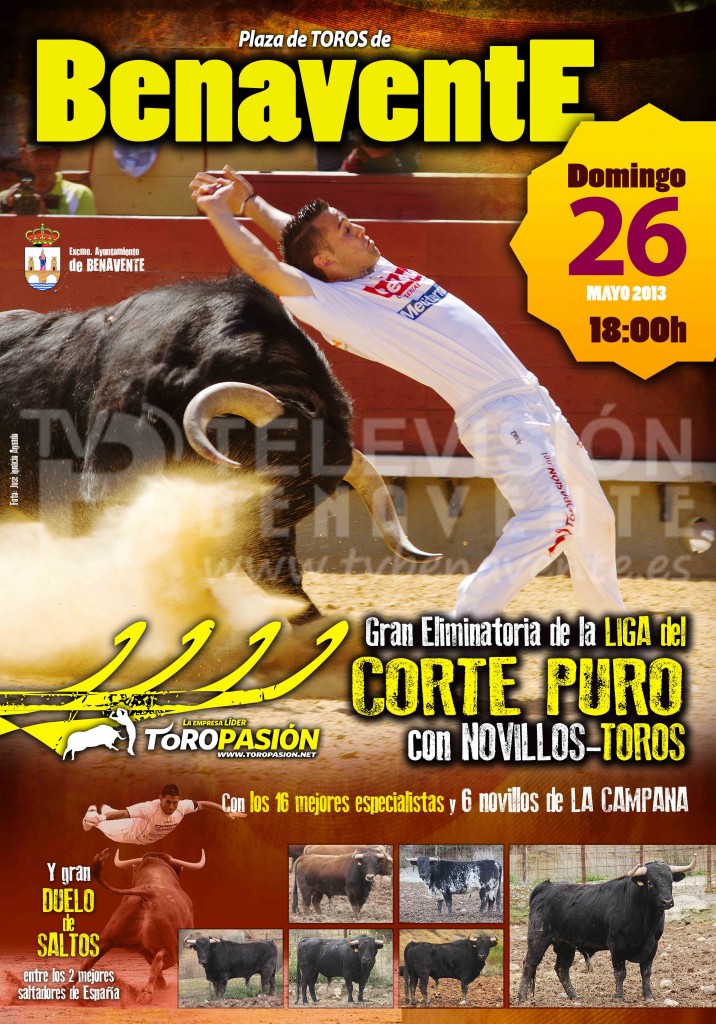CARTEL CONCURSO CORTES 2013