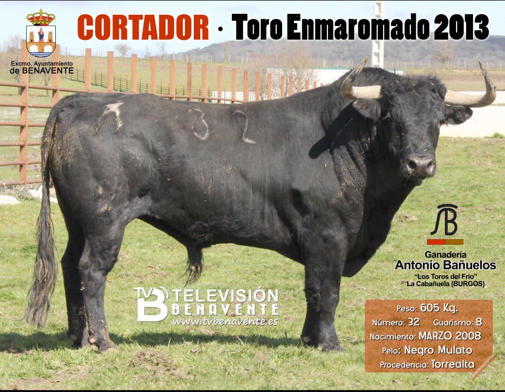 CORTADOR - FOTO OFICIAL TORO 2013