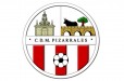Escudo_articulo