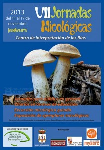 VII jornadas micologicas tv