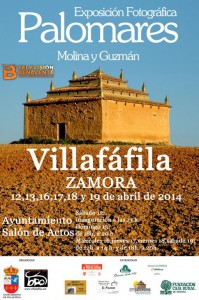exposicionpalomares