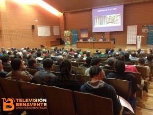 maiz nutecal benavente