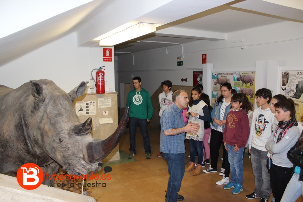 Conservador en el taller de miradas
