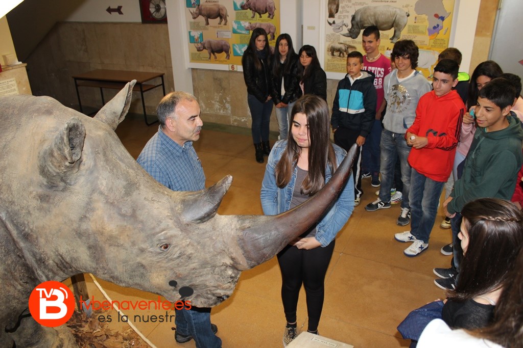 Conservador en el taller de miradas
