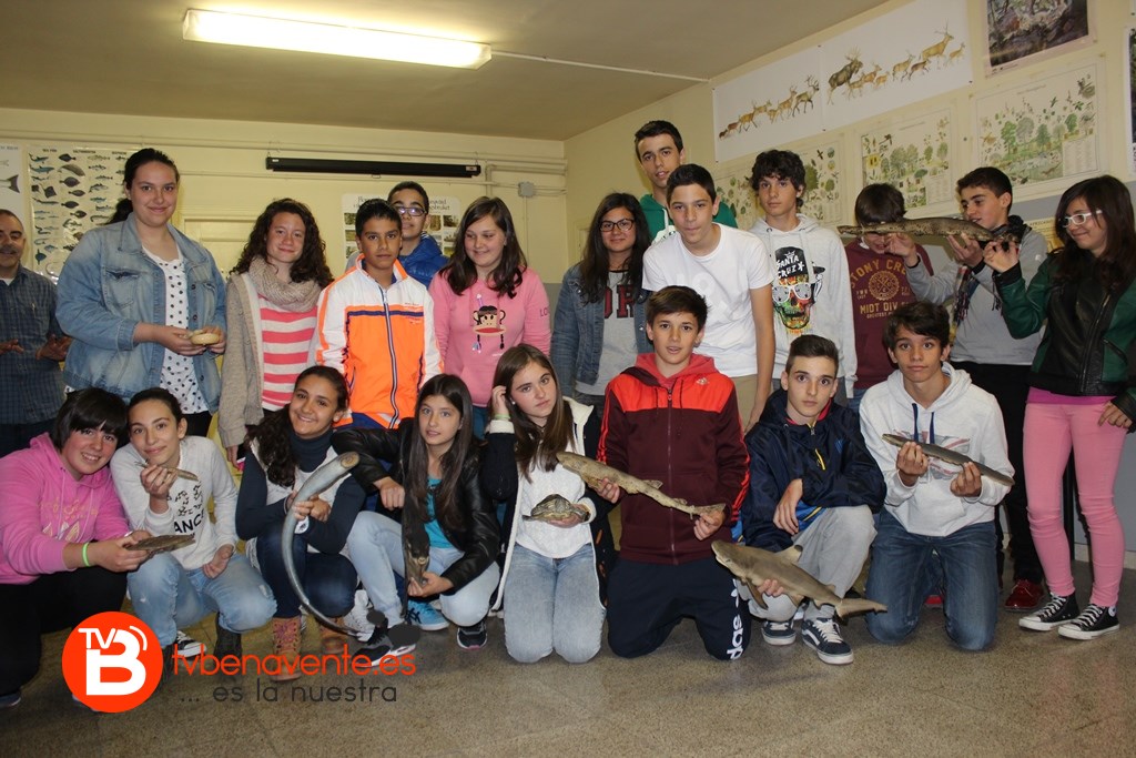 Grupo de alumnos con distintos ejemplares