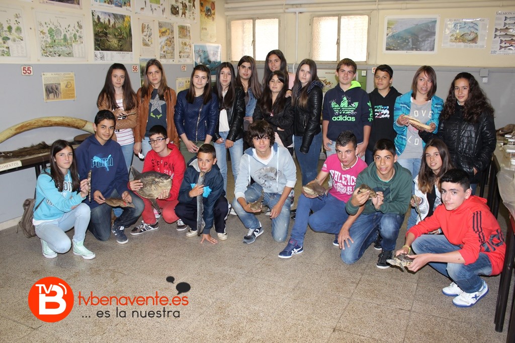 Grupo de alumnos con distintos ejemplares