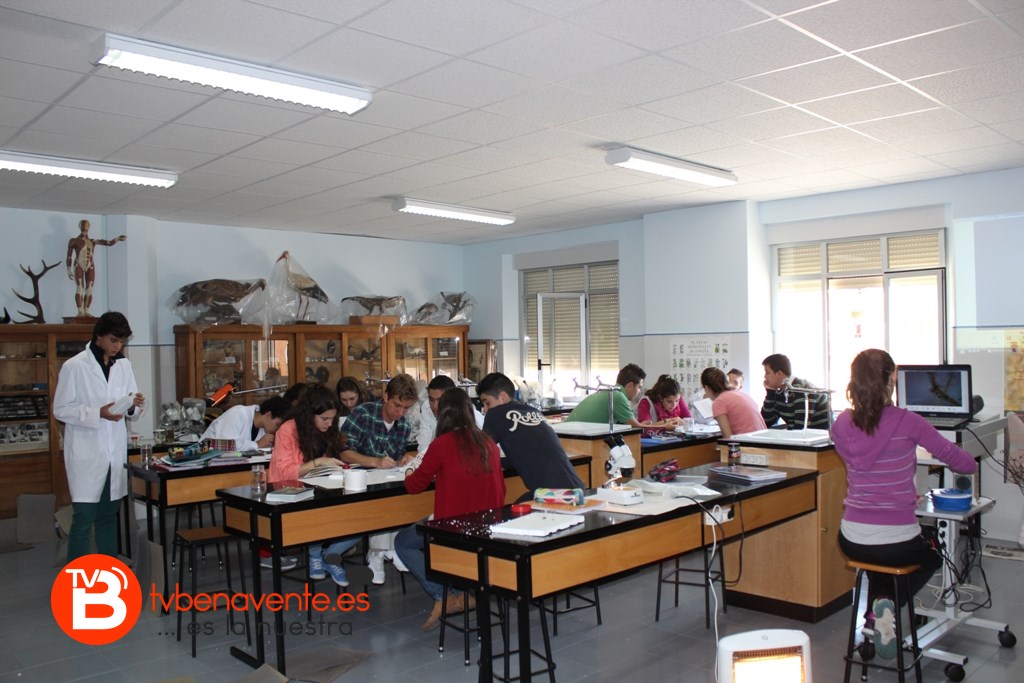 Observando y determinando los macroinvertebrados en el laboratorio