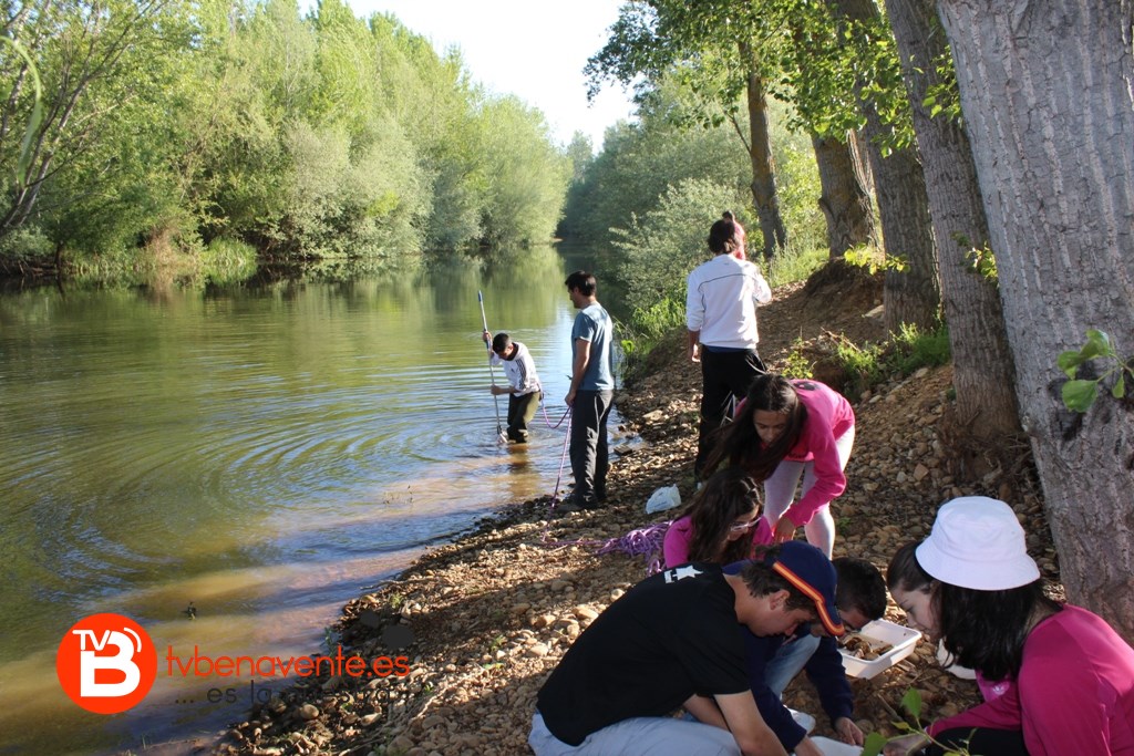 Recogida de macroinvertebrados 2