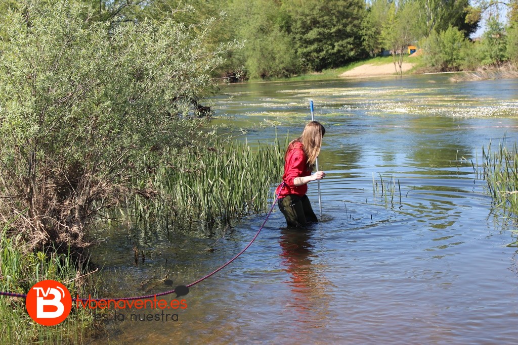 Recogida de macroinvertebrados