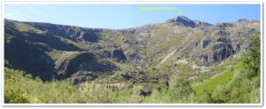 pico catoute