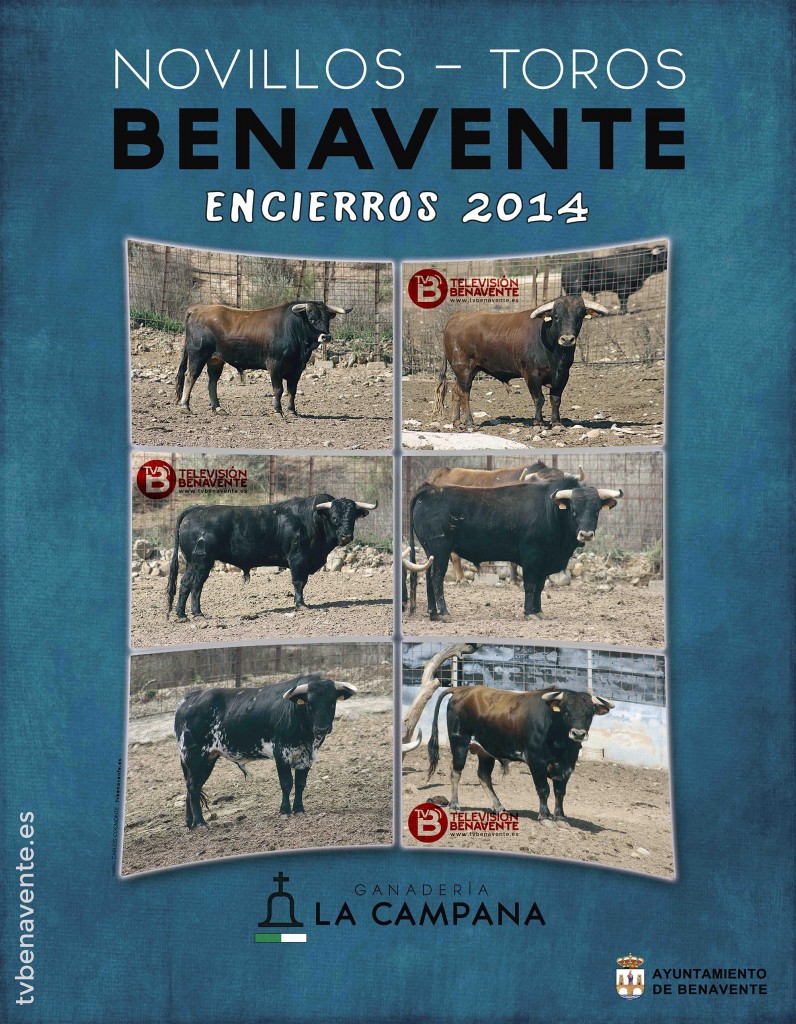 toros novillos encierros toro benavente 2014 - ganaderia la campana