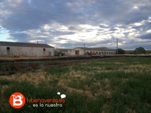 incendio 4