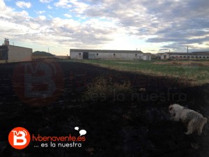 incendio 9