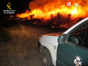 incendio forestal zamora