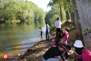 Recogida de macroinvertebrados