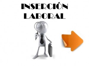 insercin-laboral-1-728