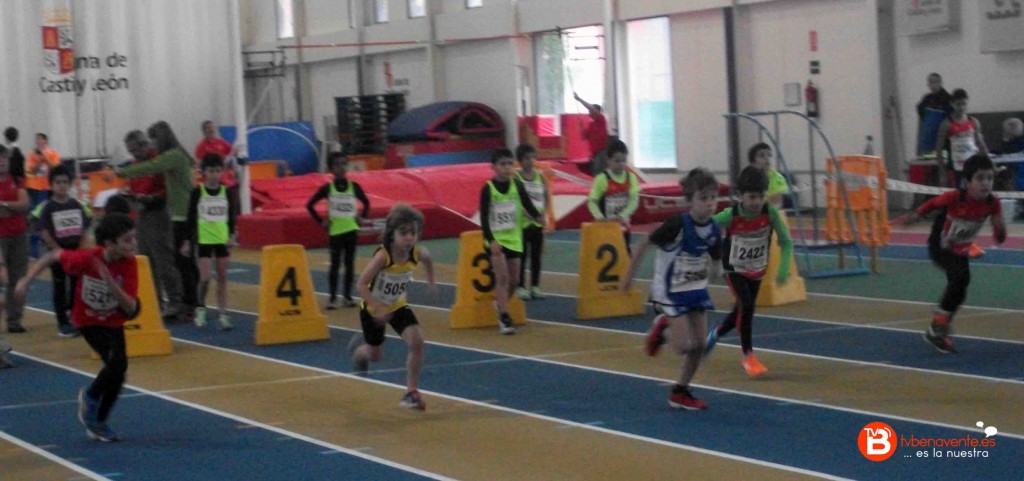 ATLETISMO-PISTA-CASTILLA Y LEON- BENAVENTE ATLETISMO