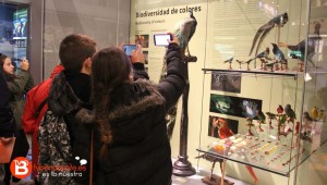 Alumnos fotografiando algunas especies en el Museo