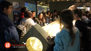 Alumnos observando el calamar gigante