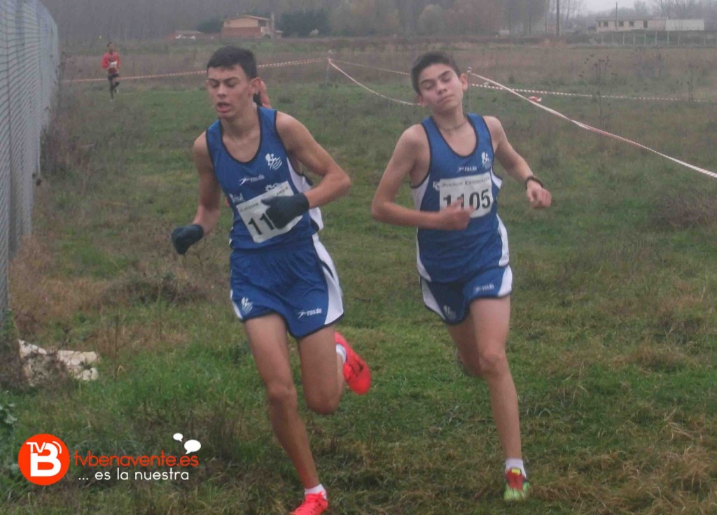 CROSS ESCOLAR ATLETISMO BENAVENTE