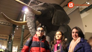 Tres alumnos delante del elefante africano