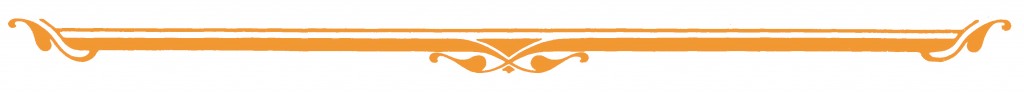 separador-wordpress-21