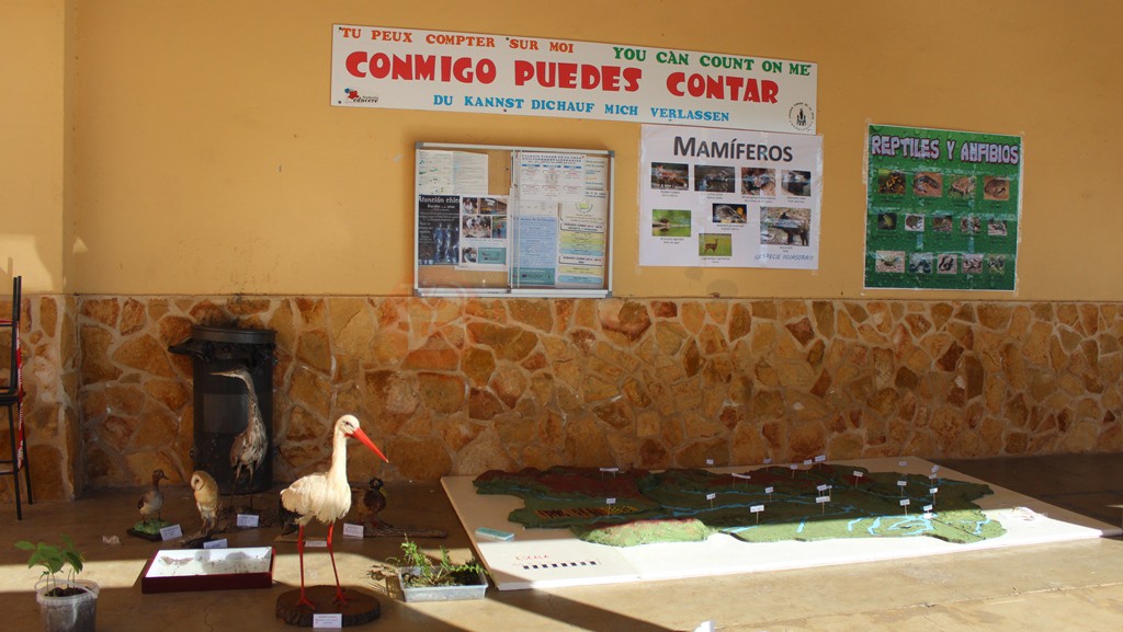 Maqueta de la comarca y aves