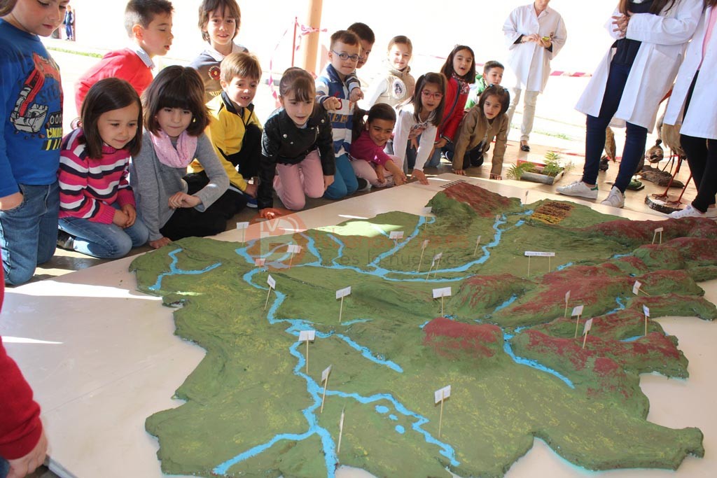 Alumnos de 1º Primaria viendo la maqueta de la comarca de Benavente y los Valles