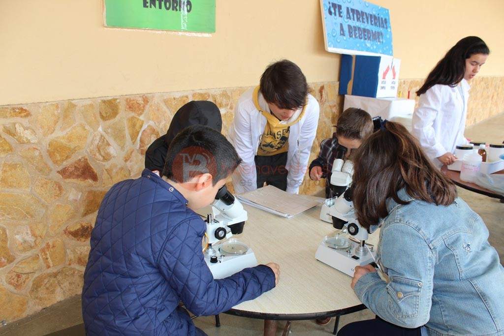 Alumnos de 2º Primaria observando macroinvertebrados