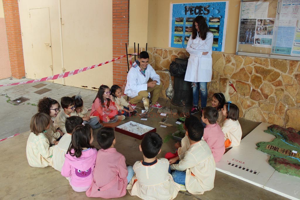 Alumnos de 3ºA Infantil observando aves e insectos