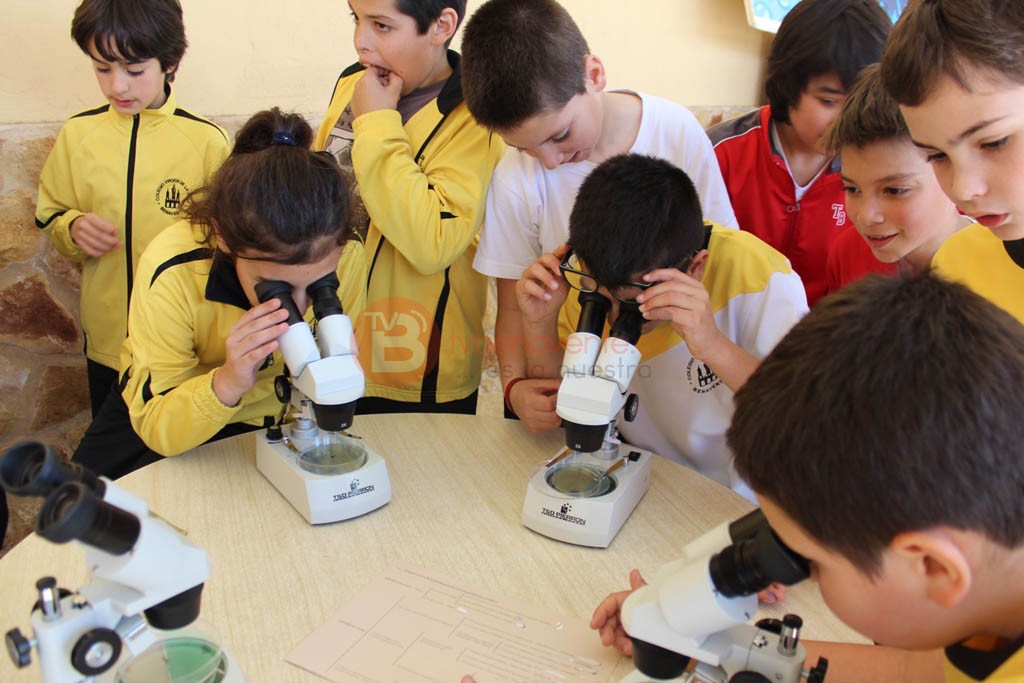 Alumnos de 5º Primaria observando macroinvertebrados