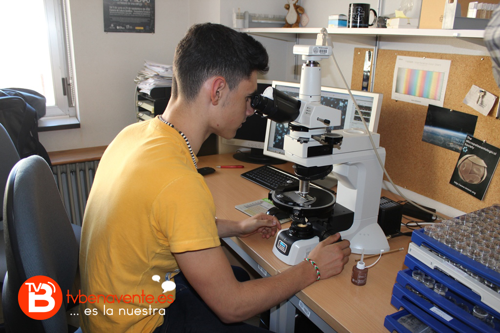 Dani manejando un microscopio petrográfico en busca de cocolitos