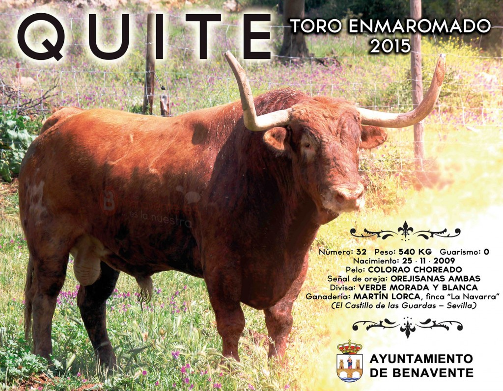 QUITE - TORO ENMAROMADO 2015 - BENAVENTE TV