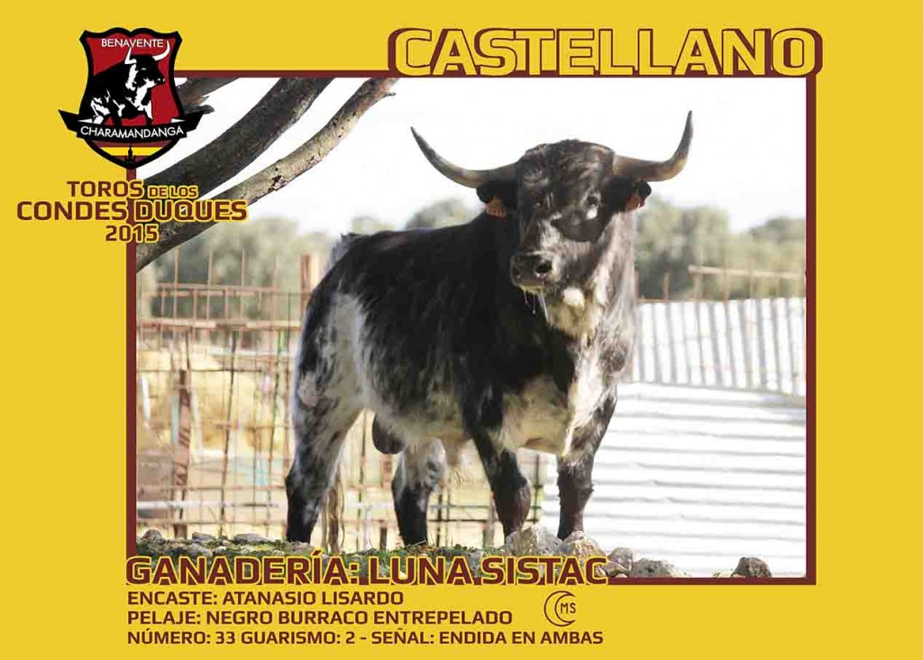 charamandanga_castellano_TORO_2015