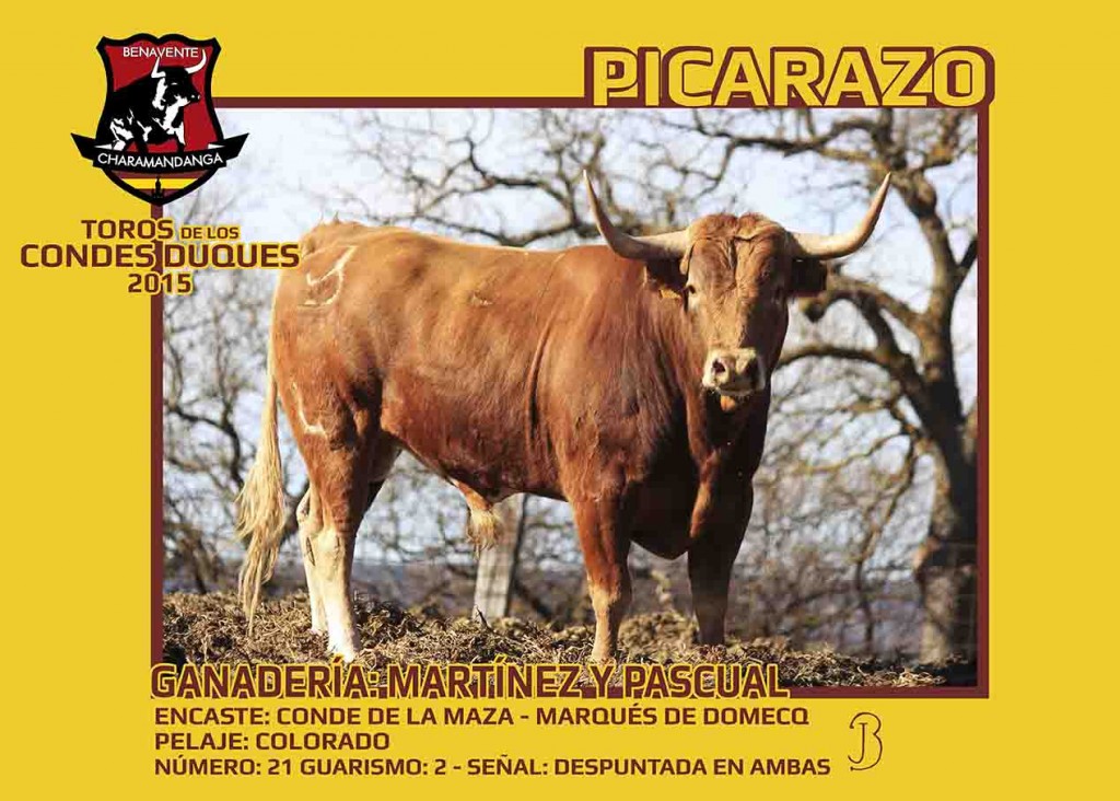 charamandanga_picarazo_TORO_2015