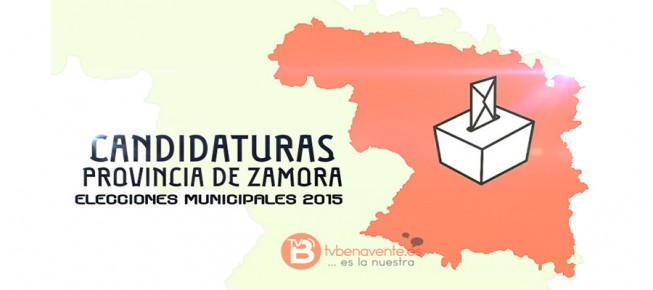 elecciones municipales zamora 2015