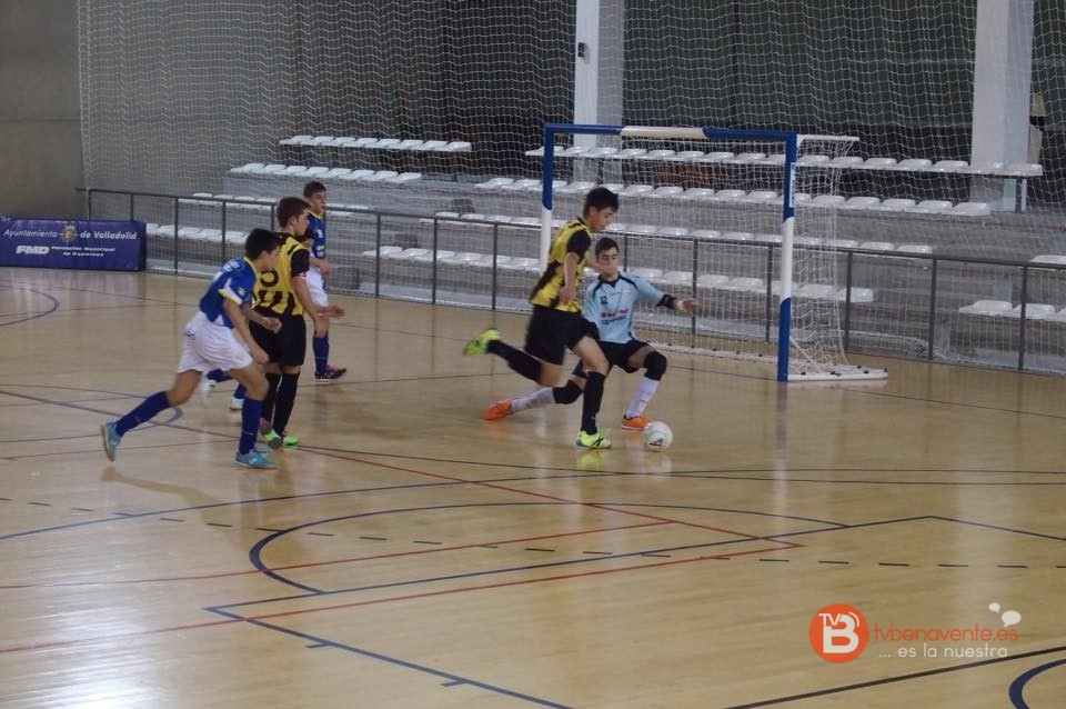 atletico benavente cadete