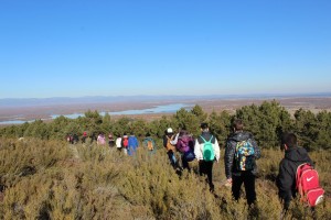 Excursión Sierra Culebra entre brezos y con pinares al fondo