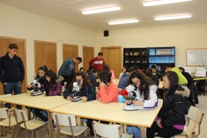 Proyecto microorganismos del Colegio Virgen de la Vega
